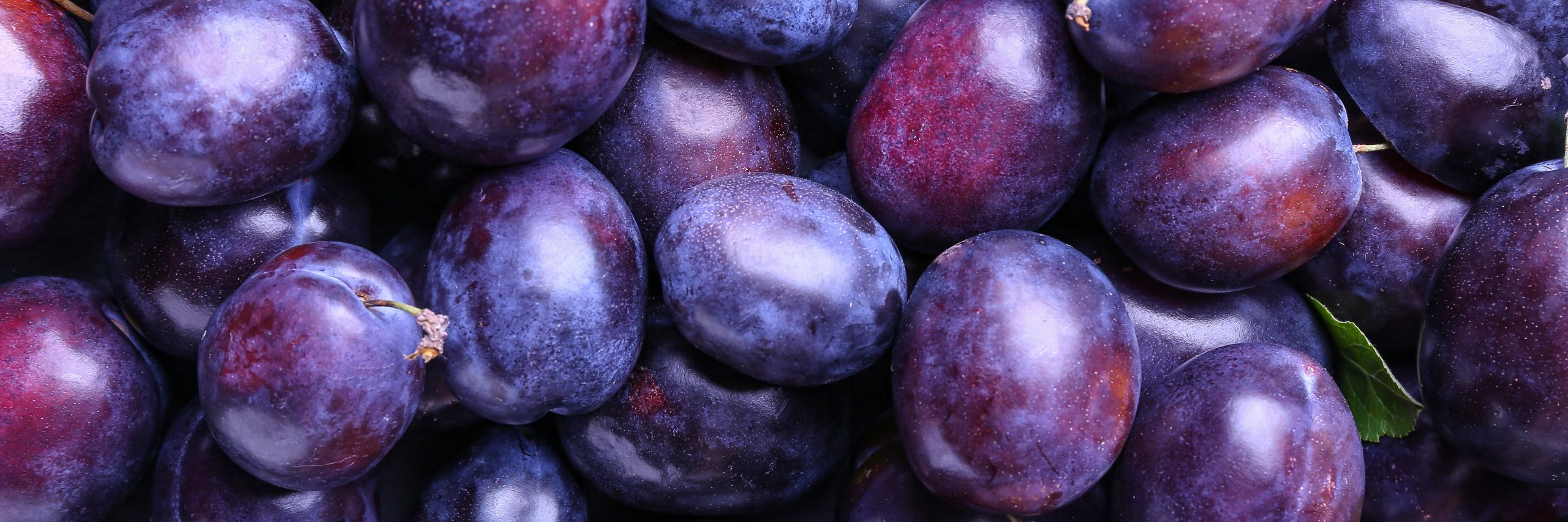 プルーンの抗酸化作用